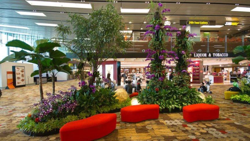 <p>Една от чакалните на летище Changi в Сингапур.</p>
