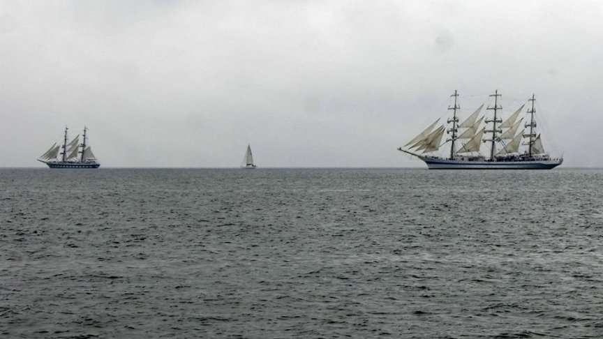 <p>Снимки: Силвия Грозева</p>
