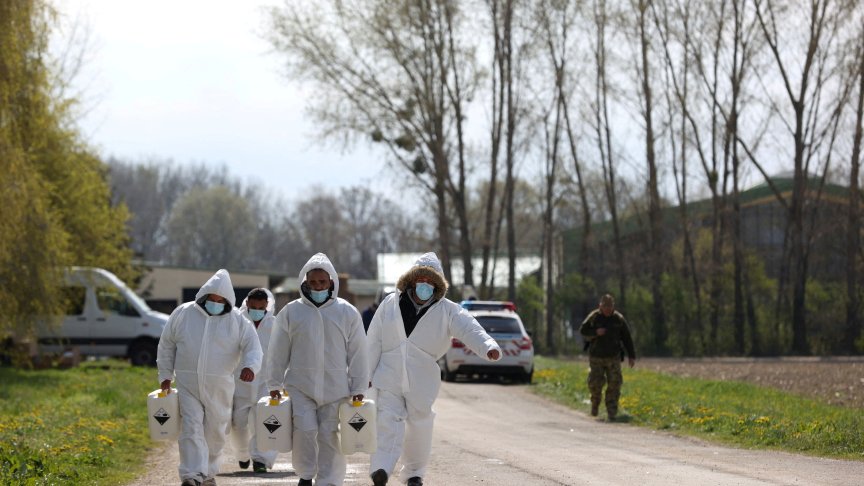 Епидемиологични власти дезинфекцират ферма при избухване на шап.