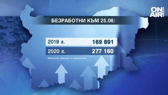 графика заетост