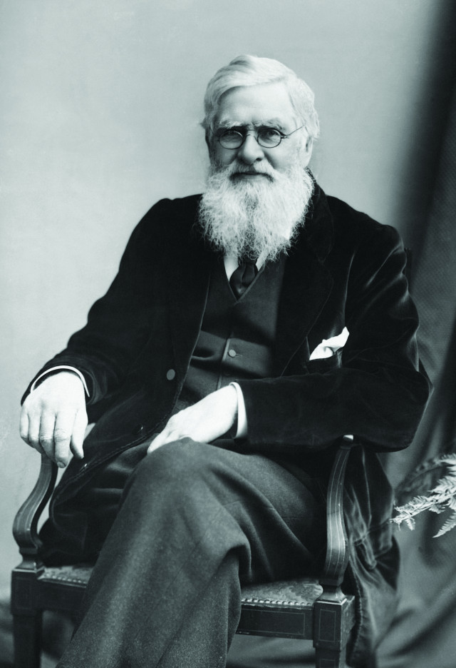 Alfred
